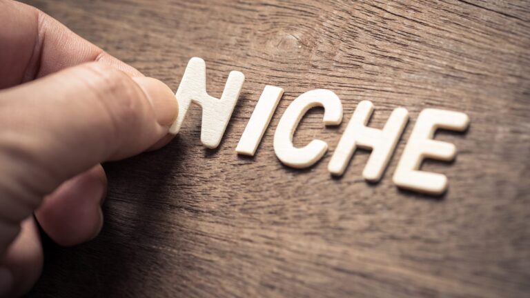 What Are Niche Edits And Why Do You Need Them?