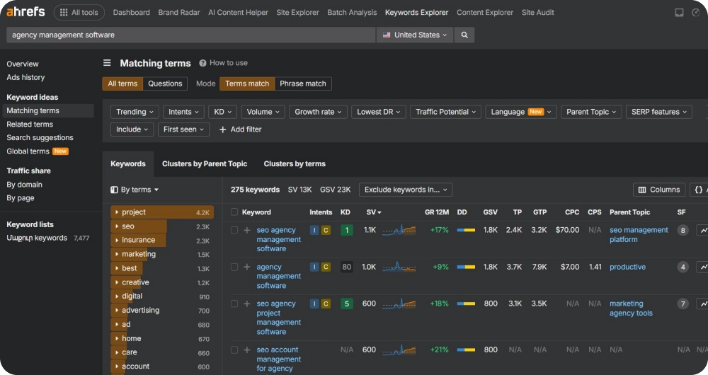 Screenshot of Ahrefs' "Terms Match" section